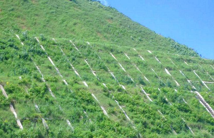 生態護坡技術的應用案例